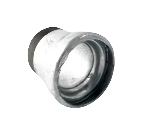 Female Bauer X Male Bsp